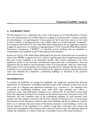 Financial Feasibility Analysis in PDF