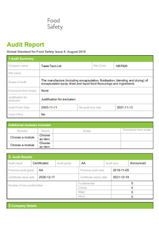 Food Safety Audit Report