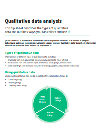 Formal Qualitative Data Analysis