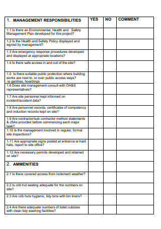 Health And Safety Audit Checklist