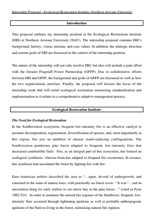 Internship Proposal in PDF