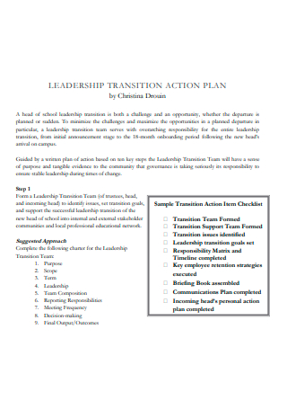 Leadership Transition Action Plan