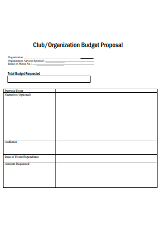 Organization Budget Proposal