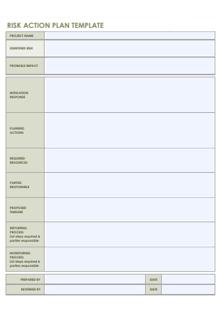 Risk Action Plan Template