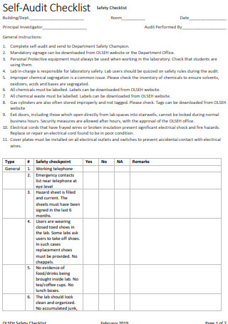Safety Self Audit Checklist 