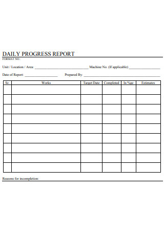 Simple Daily Progress Report