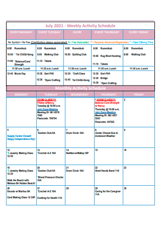 Standard Weekly Activity Schedule