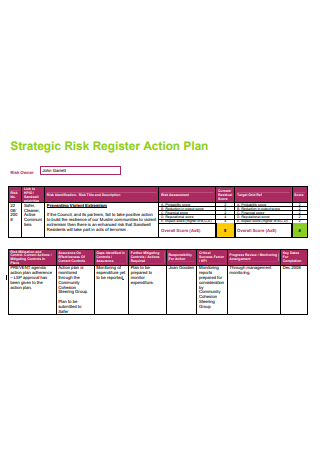 Strategic Risk Register Action Plan