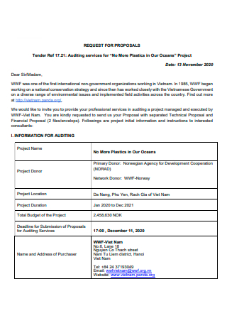 Tender Auditing Services Proposal