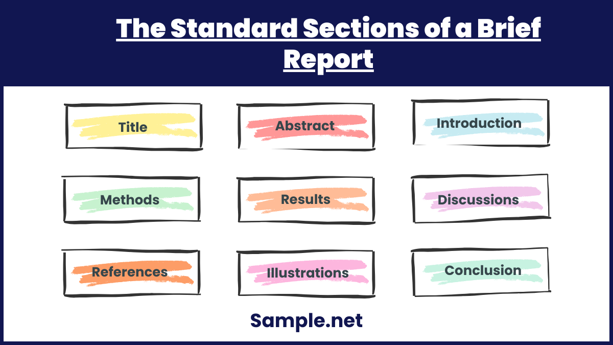 The Standard Sections of a Brief Report