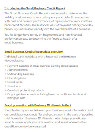 Transunion Business Credit Report