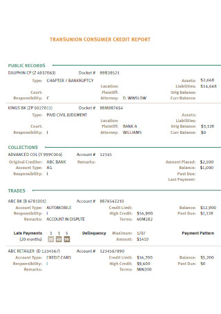 12 FREE Transunion Credit Report Samples To Download
