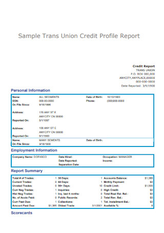 Transunion Credit Profile Report
