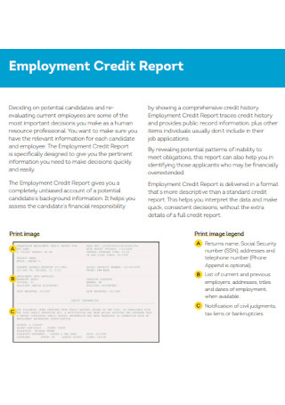 Transunion Employement Credit Report