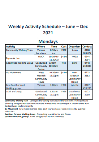 Weekly Activity Schedule in PDF