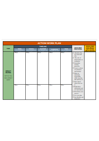 Work Action Plan in PDF
