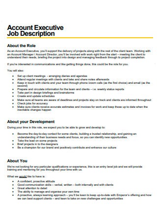 Account Executive Job Description Format