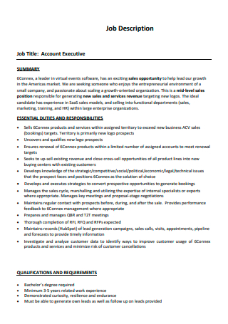 Account Executive Job Description in PDF