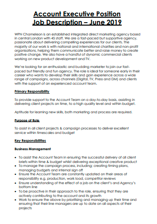 Account Executive Position Job Description