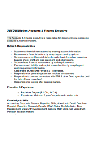 Account and Finance Executive Job Description