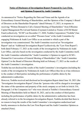 Audit Committee Investigation Report