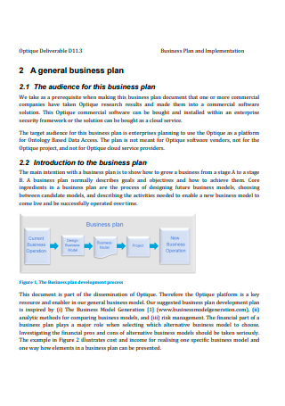 Basic Implementation Business Plan