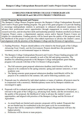 College Undergraduate Research and Creative Project Proposals