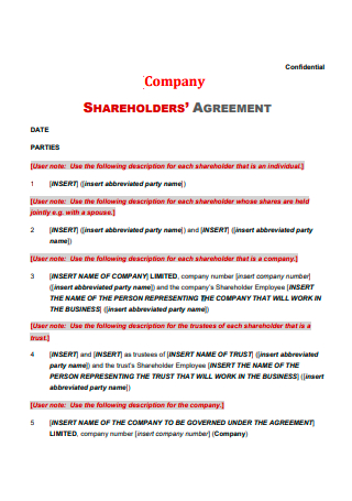 Confidential Company Shareholders Agreement