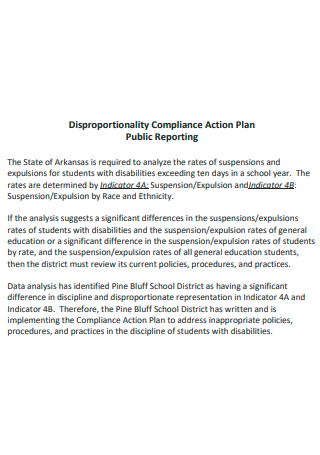 Disproportionality Compliance Action Plan