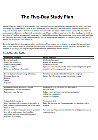 Five Day Study Plan Template