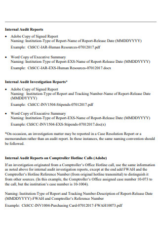 Internal Audit Investigation Report