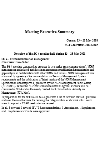 Meeting Executive Summary in DOC