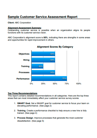 Sample Customer Service Assessment Report