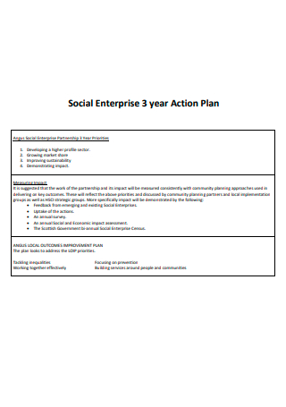 Social Enterprise 3 Year Action Plan