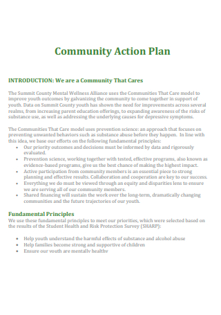 Standard Community Action Plan