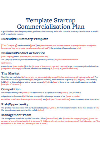 Startup Commercialization Executive Summary