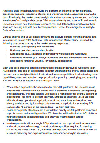 Analytical Data Infrastructure Business Report