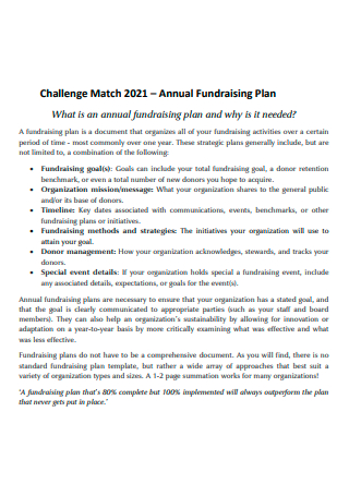 Annual Fundraising Plan