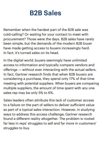 B2B Sales Plan Example