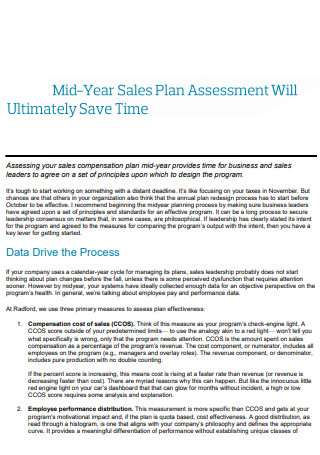 Basic Mid Year Sales Plan