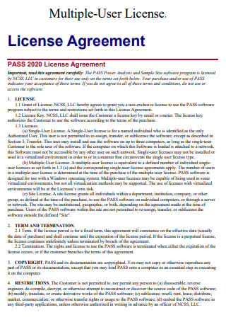Basic Multi User License Agreement