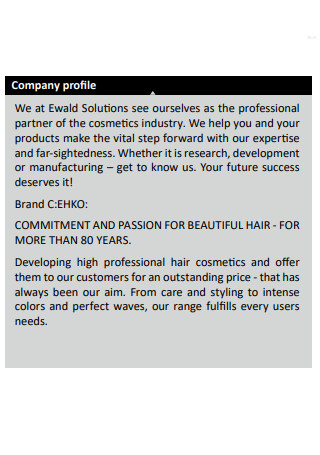 Beauty Salon Company Profile Format
