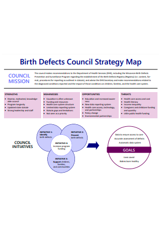 Birth Defects Council Strategy Map