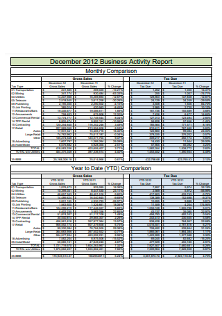 Business Activity Report Example