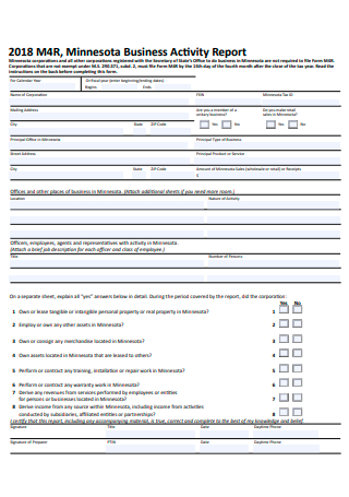 Business Activity Report Template