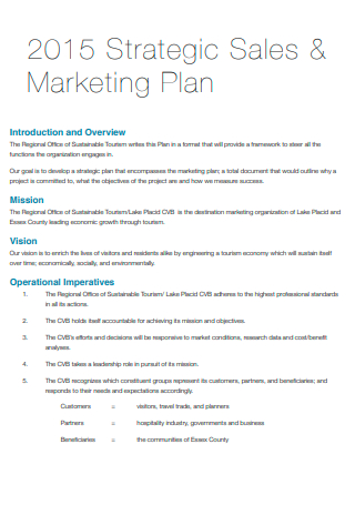 Business Strategic Sales and Marketing Plan