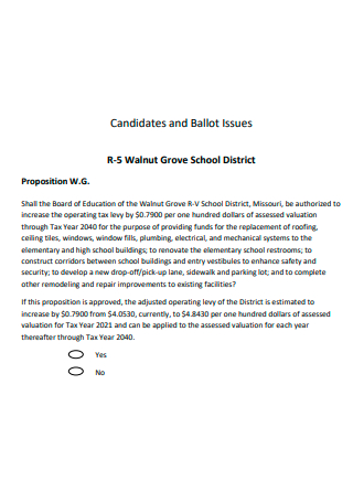 Candidates and Ballot Issues
