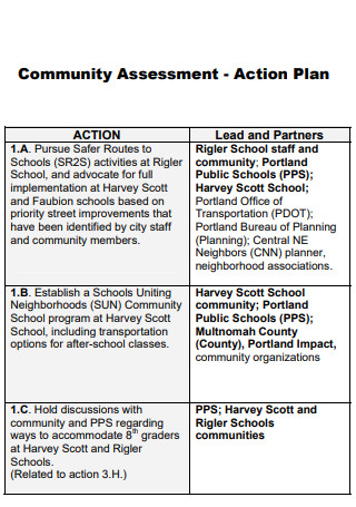 Community Assessment Action Plan