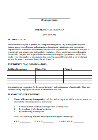 Company Emergency Action Plan Example