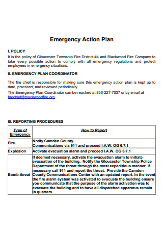 Company Emergency Action Plan in PDF